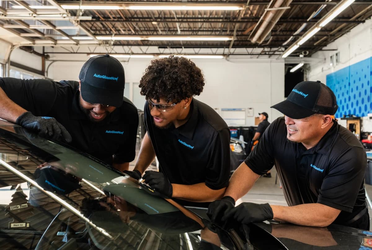 Technicians looking at windshield