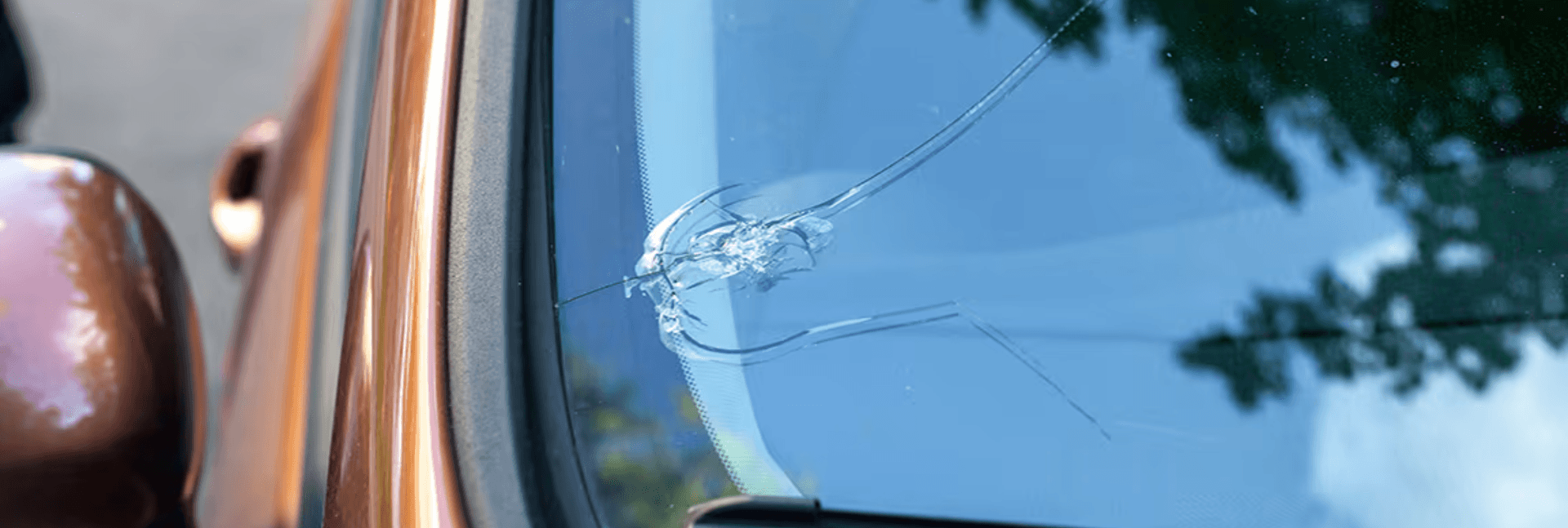 Chipped and cracked car windshield.