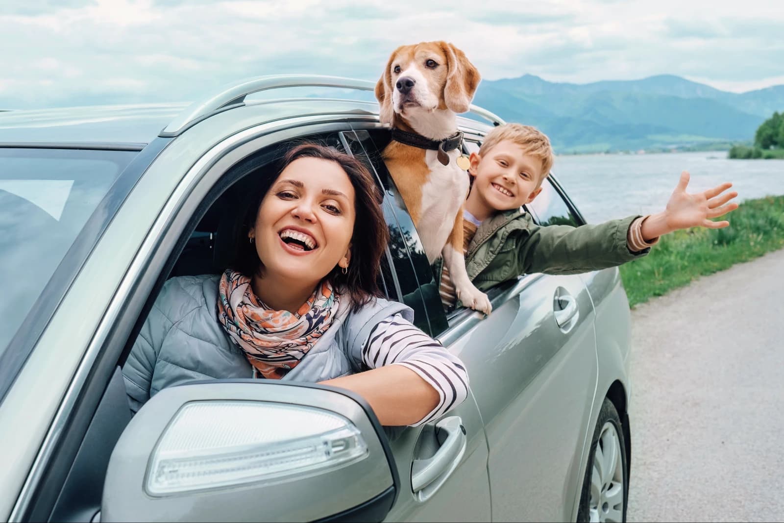 Dog and family looking out car window
